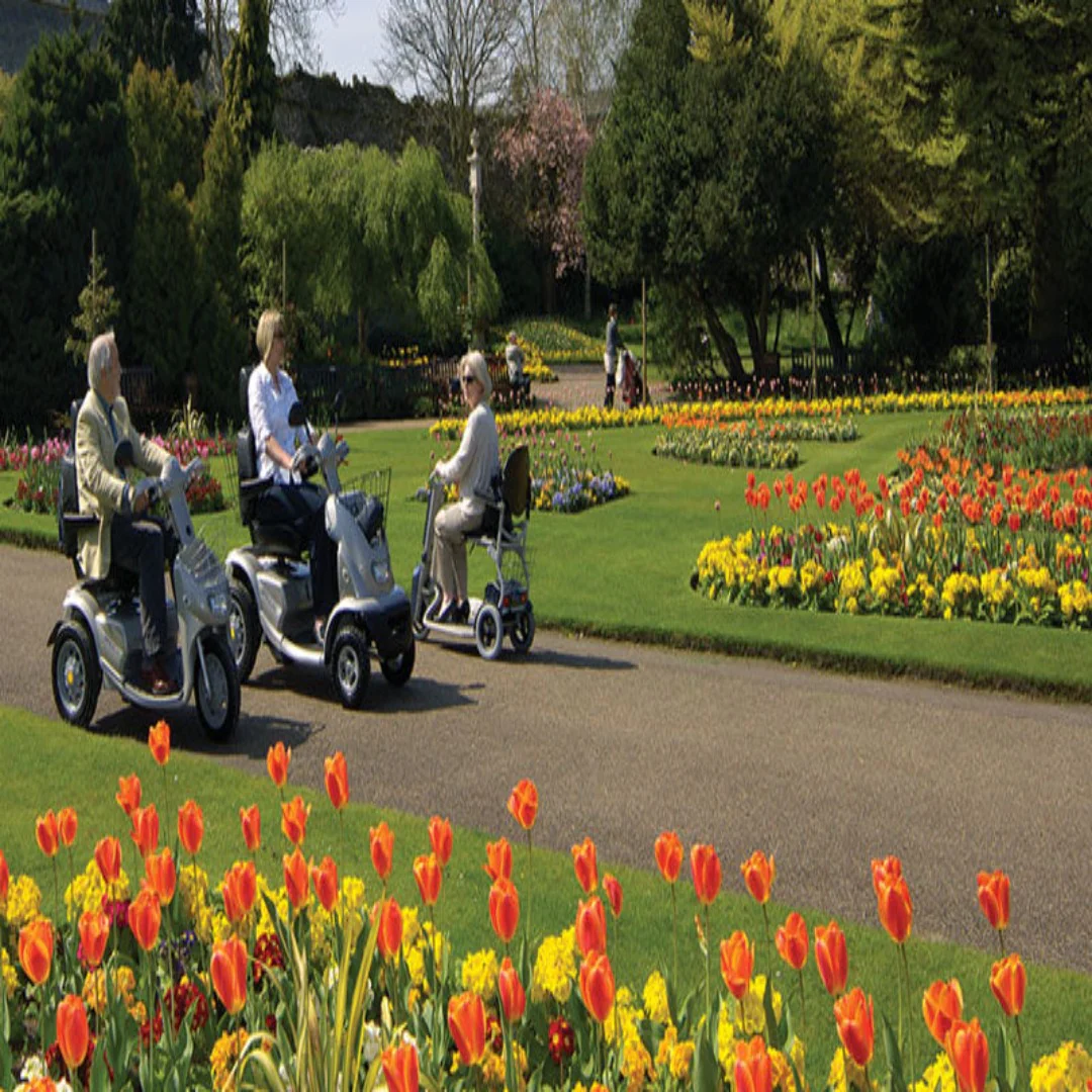 Afikim Afiscooter C4 Touring 4-Wheel Mobility Scooter with Canopy