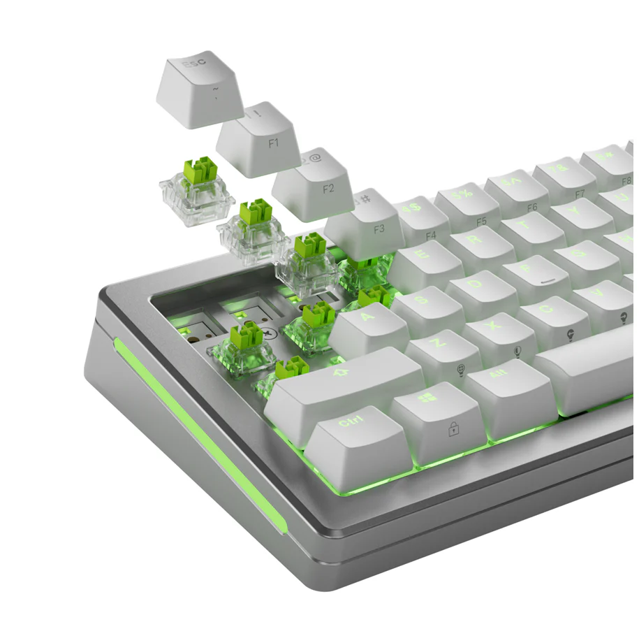 Glorious HE Switches (36 stk) - Raptor - Lubed - [Clicky] 55g